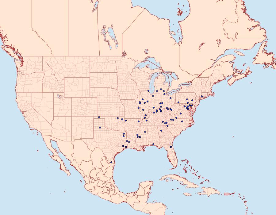 Distribution Data for Synanthedon rileyana