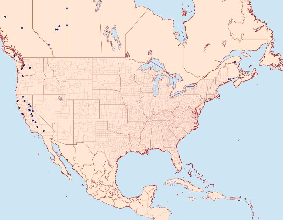 Distribution Data for Synanthedon novaroensis