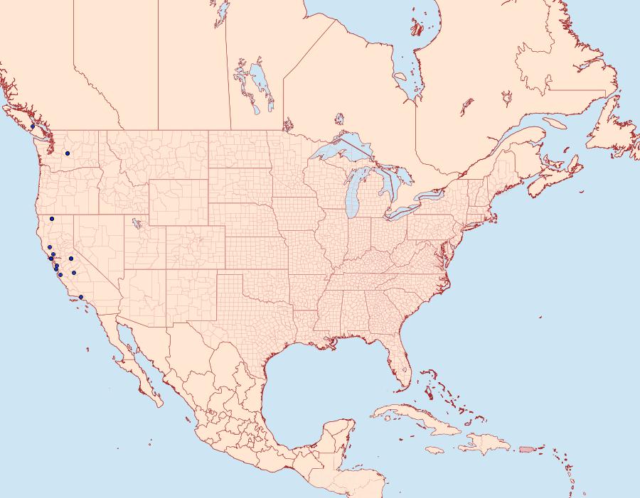 Distribution Data for Synanthedon sequoiae