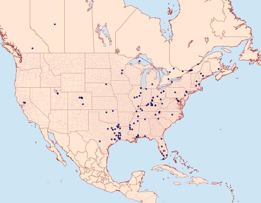 Distribution Data for Podosesia syringae