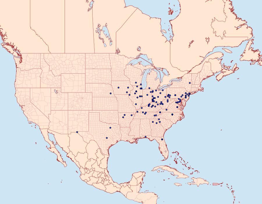 Distribution Data for Carmenta bassiformis