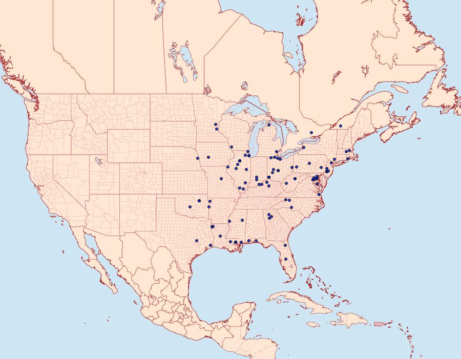 Distribution Data for Carmenta pyralidiformis