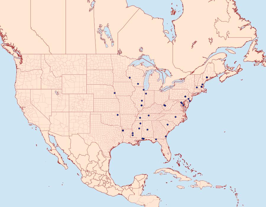 Distribution Data for Nemapogon angulifasciella