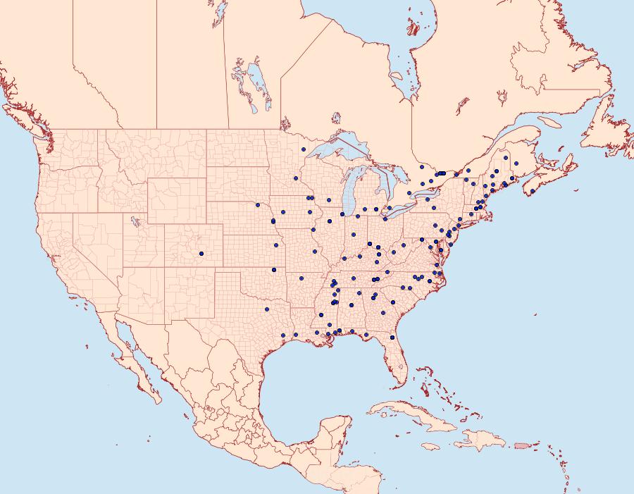 Distribution Data for Prochoreutis inflatella