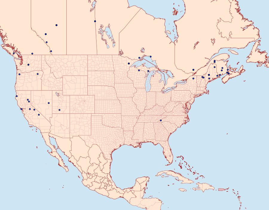 Distribution Data for Choreutis diana