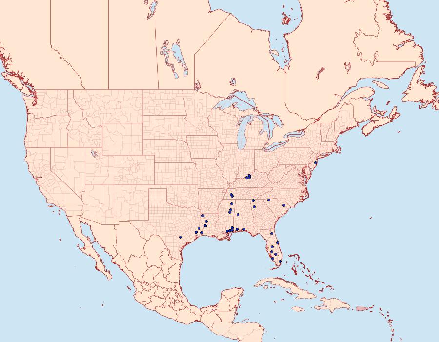 Distribution Data for Inguromorpha basalis