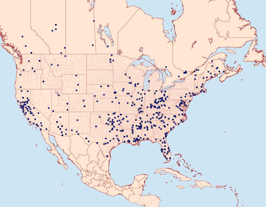 Distribution Data for Prionoxystus robiniae