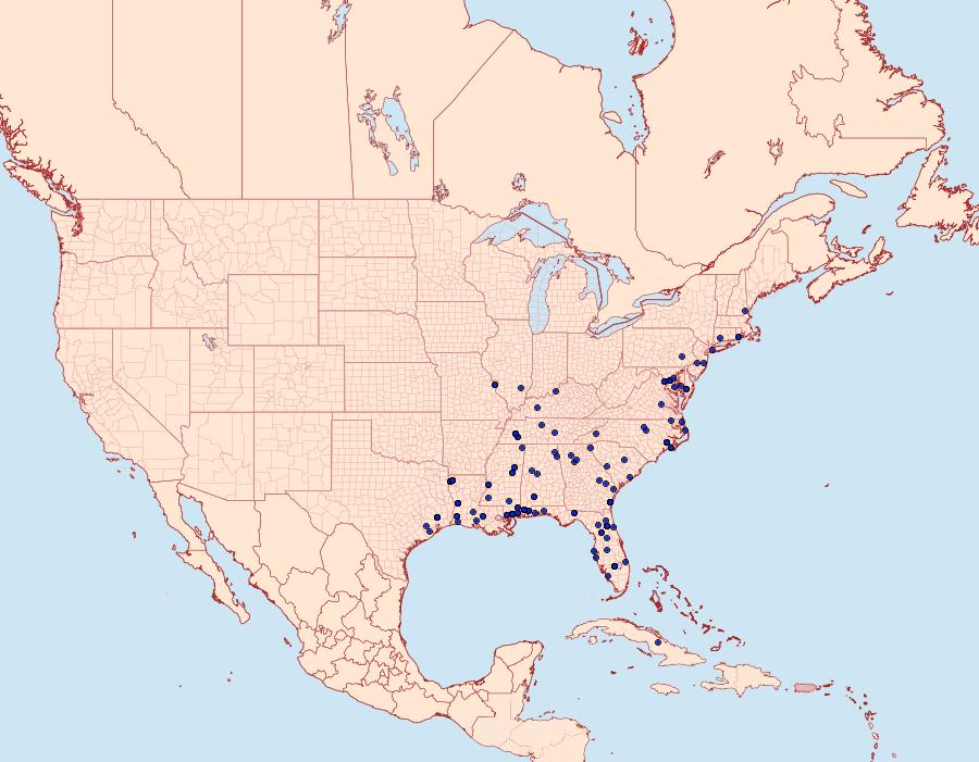 Distribution Data for Episimus tyrius