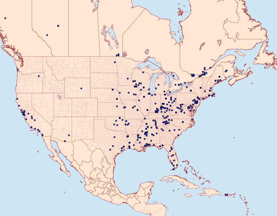 Distribution Data for Endothenia hebesana