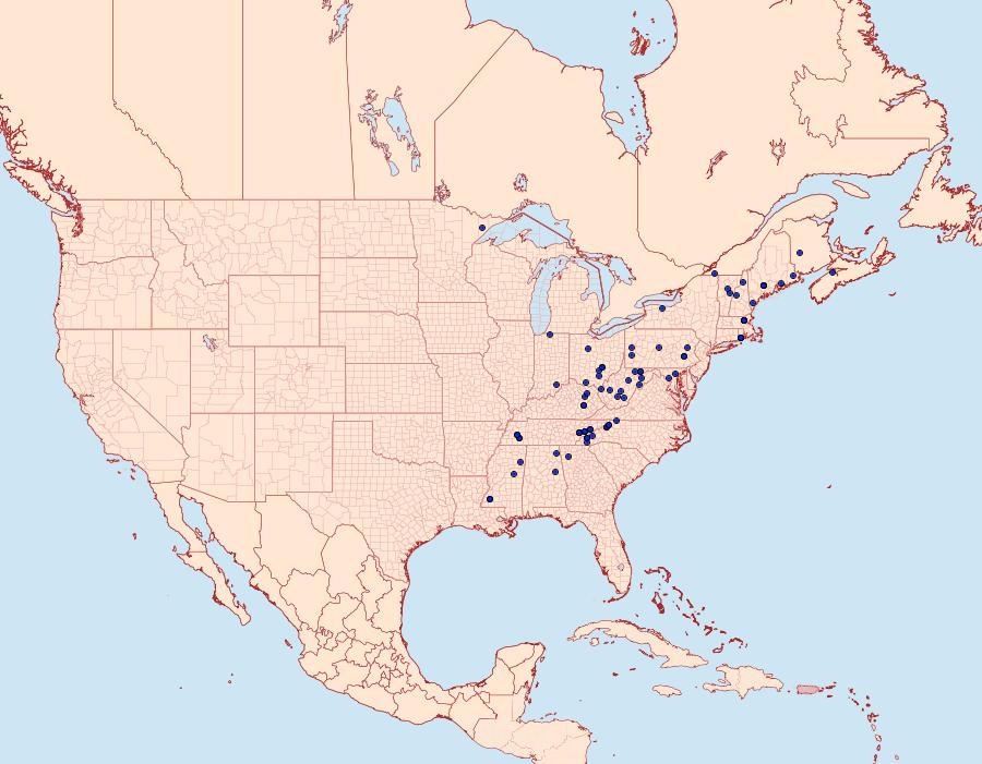 Distribution Data for Hulda impudens