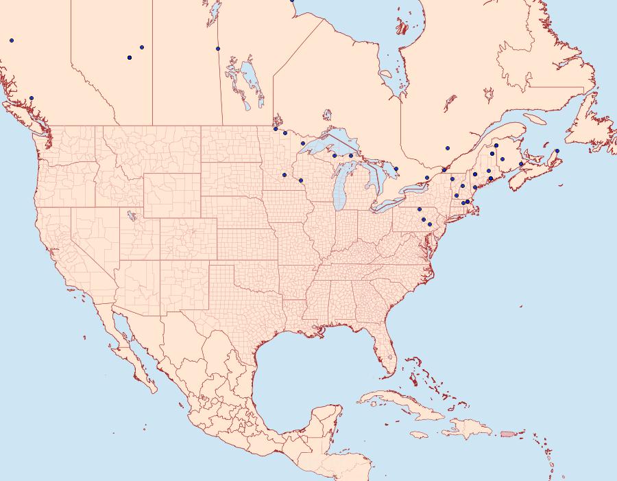 Distribution Data for Apotomis funerea