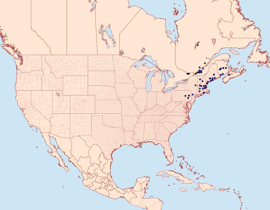 Distribution Data for Apotomis albeolana