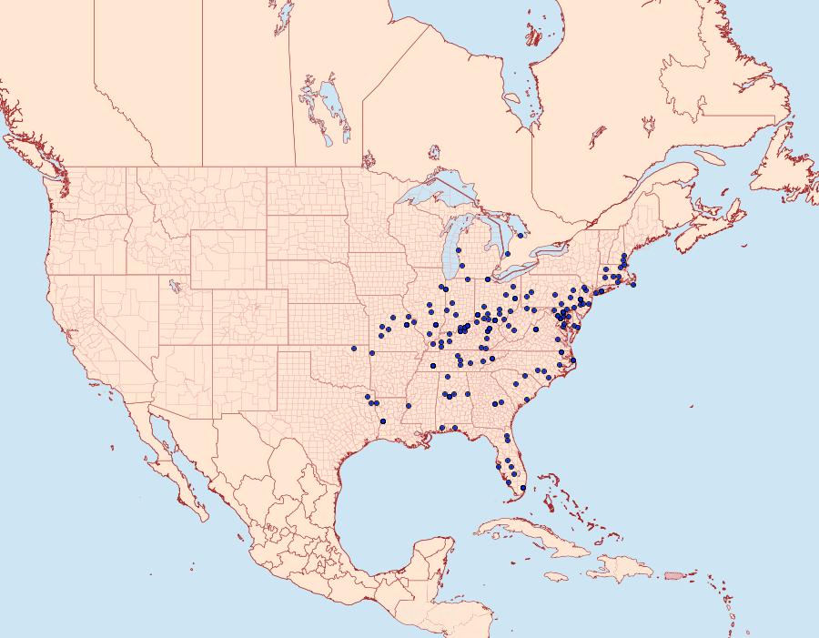 Distribution Data for Phaecasiophora niveiguttana