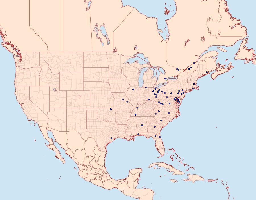 Distribution Data for Olethreutes furfuranum