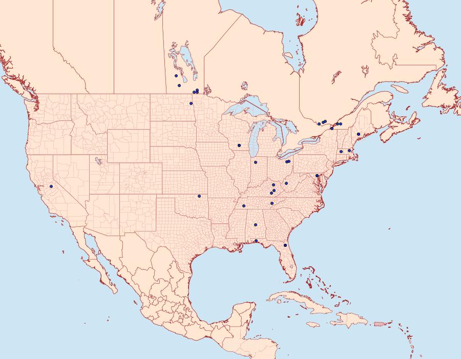 Distribution Data for Olethreutes atrodentana