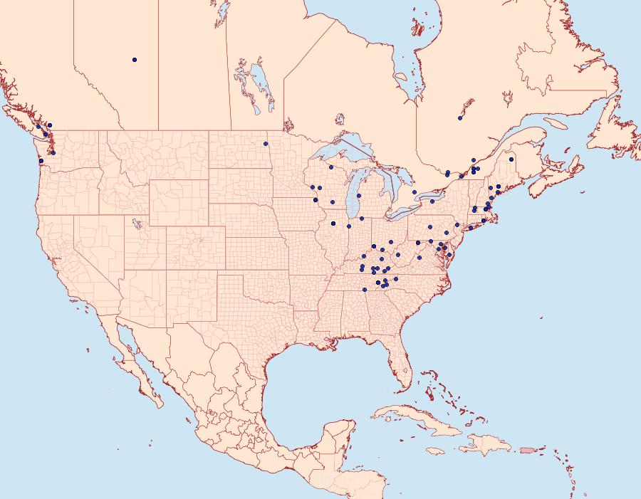 Distribution Data for Olethreutes appendiceum