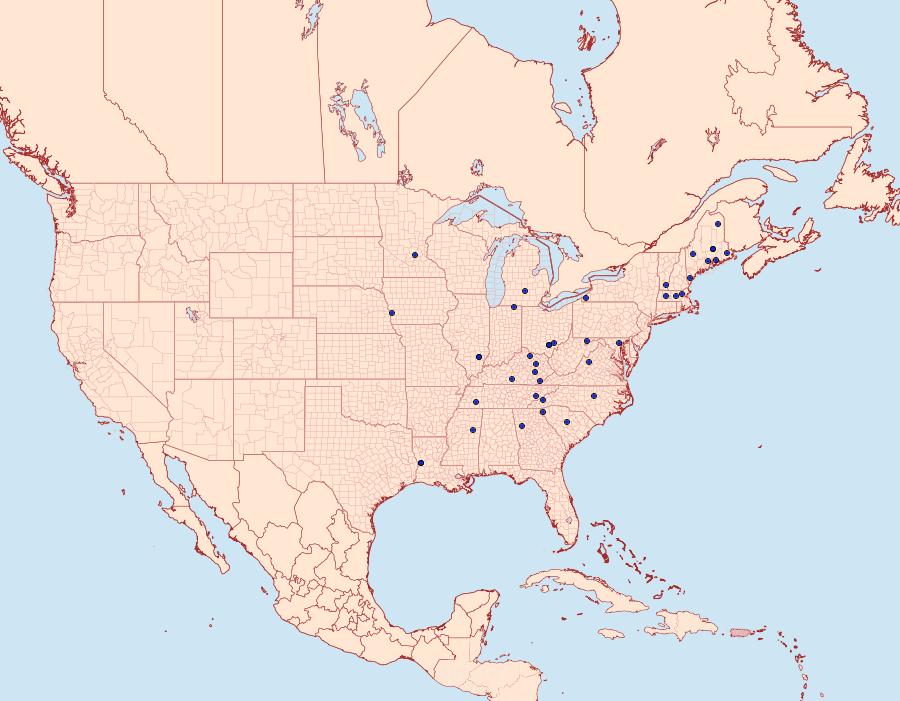 Distribution Data for Olethreutes lacunanum