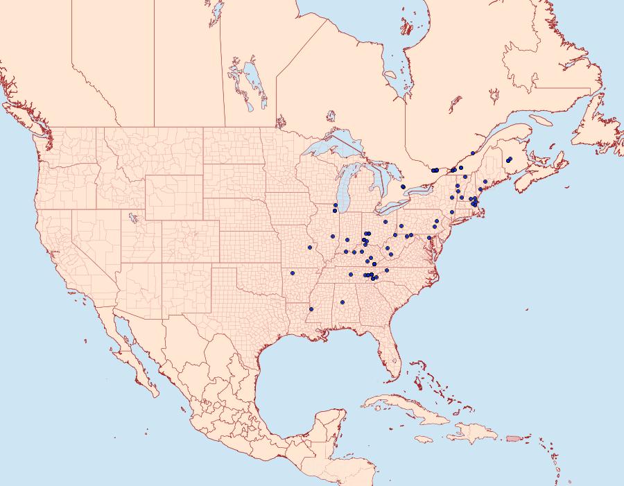 Distribution Data for Olethreutes ferriferana