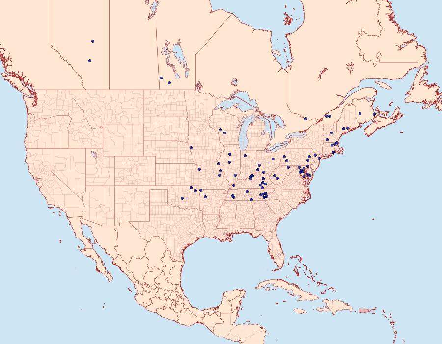 Distribution Data for Olethreutes astrologana