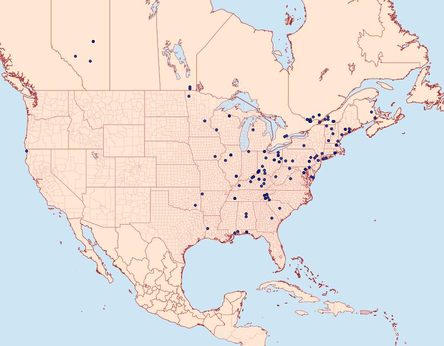 Distribution Data for Hedya separatana