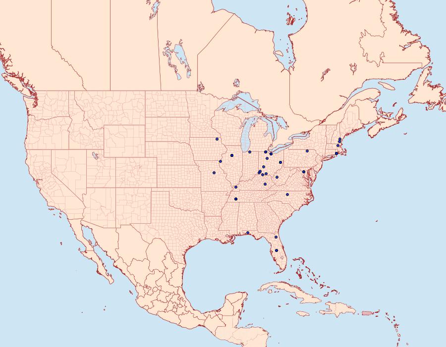 Distribution Data for Hedya cyanana