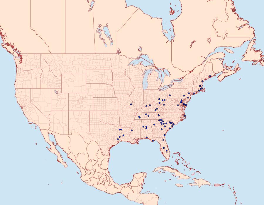 Distribution Data for Rhyacionia rigidana