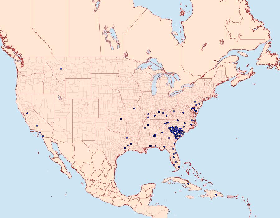 Distribution Data for Rhyacionia frustrana