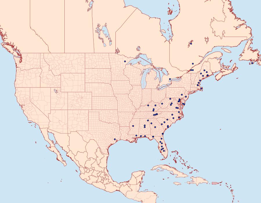 Distribution Data for Retinia gemistrigulana