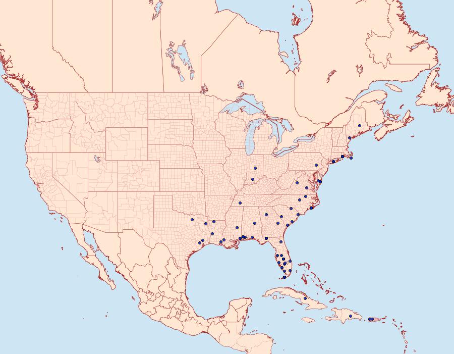 Distribution Data for Strepsicrates smithiana