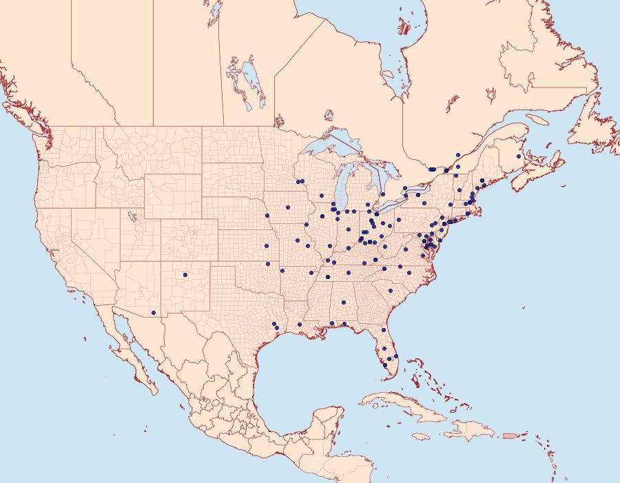 Distribution Data for Eucosma raracana