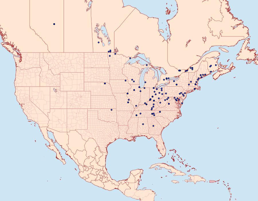 Distribution Data for Eucosma ochroterminana