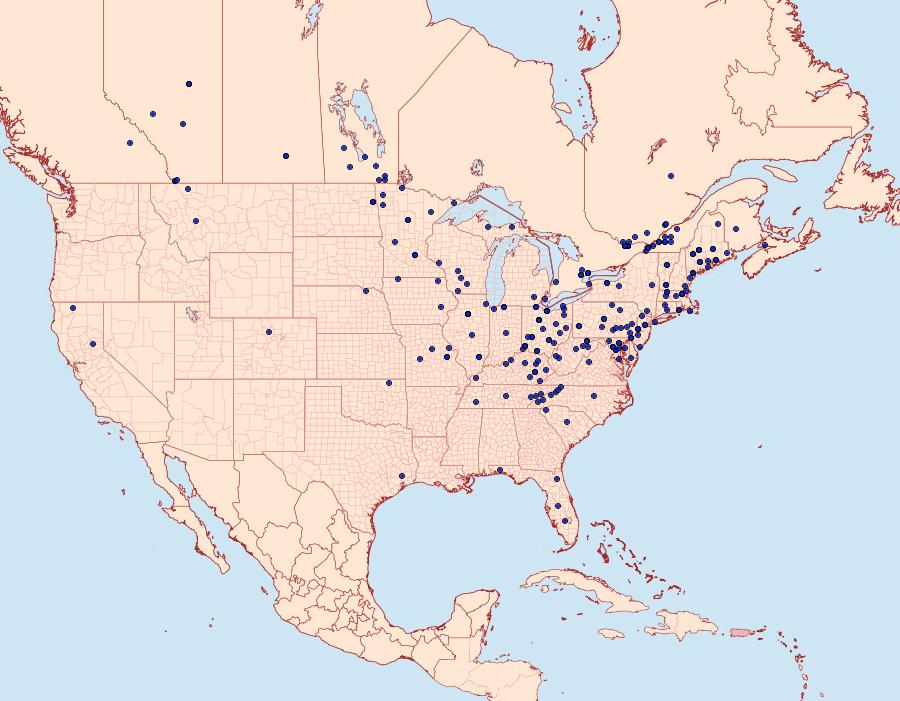 Distribution Data for Eucosma parmatana