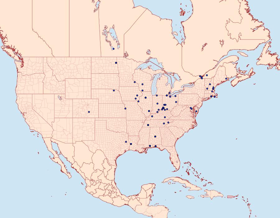 Distribution Data for Eucosma ornatula