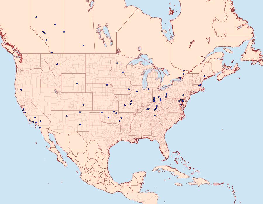 Distribution Data for Eucosma striatana