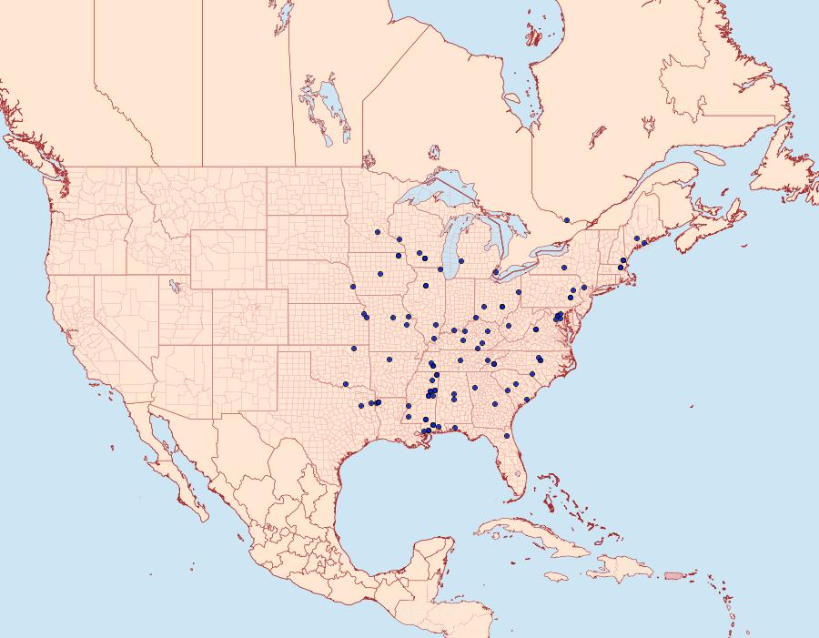 Distribution Data for Dyseriocrania griseocapitella