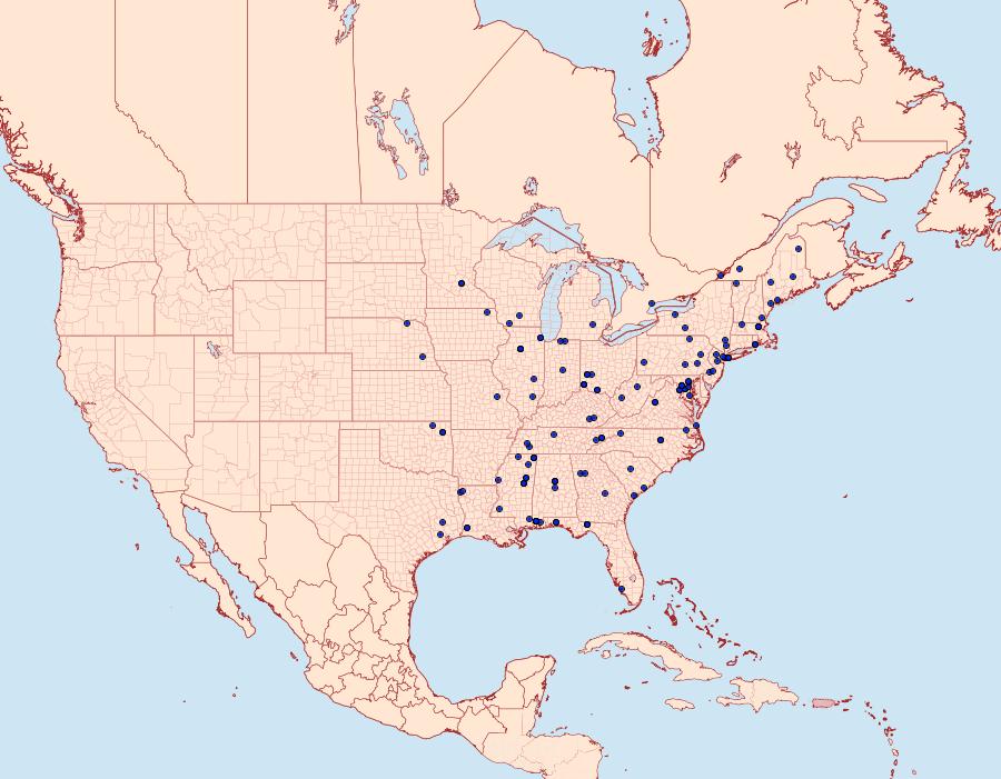 Distribution Data for Hybroma servulella