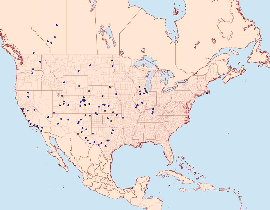 Distribution Data for Pelochrista ridingsana