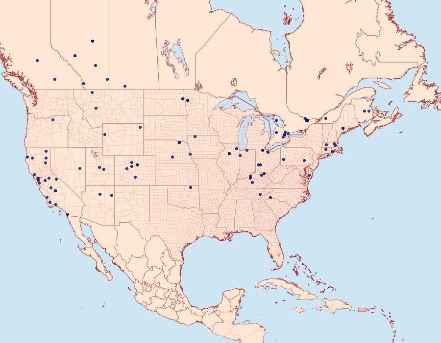 Distribution Data for Pelochrista argentialbana