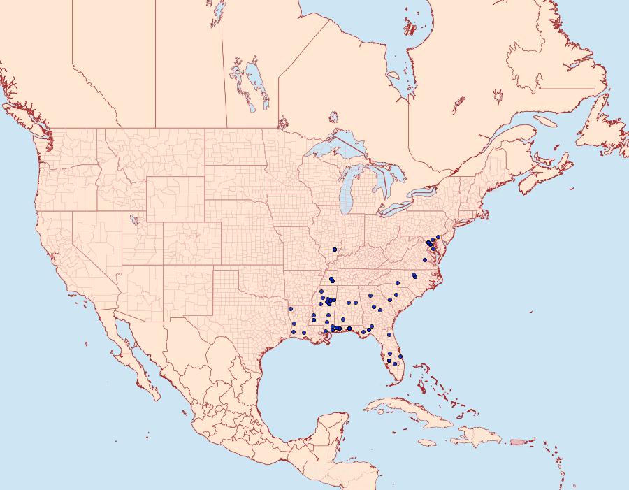 Distribution Data for Mea bipunctella