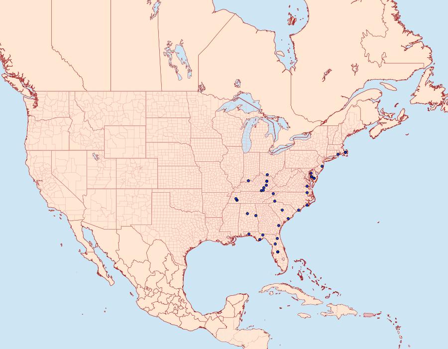 Distribution Data for Eucopina cocana