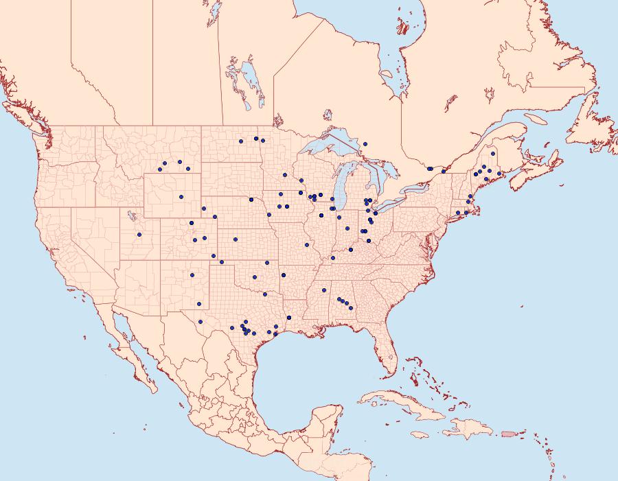 Distribution Data for Pelochrista matutina