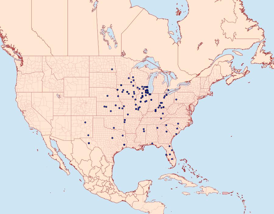 Distribution Data for Eucosma giganteana