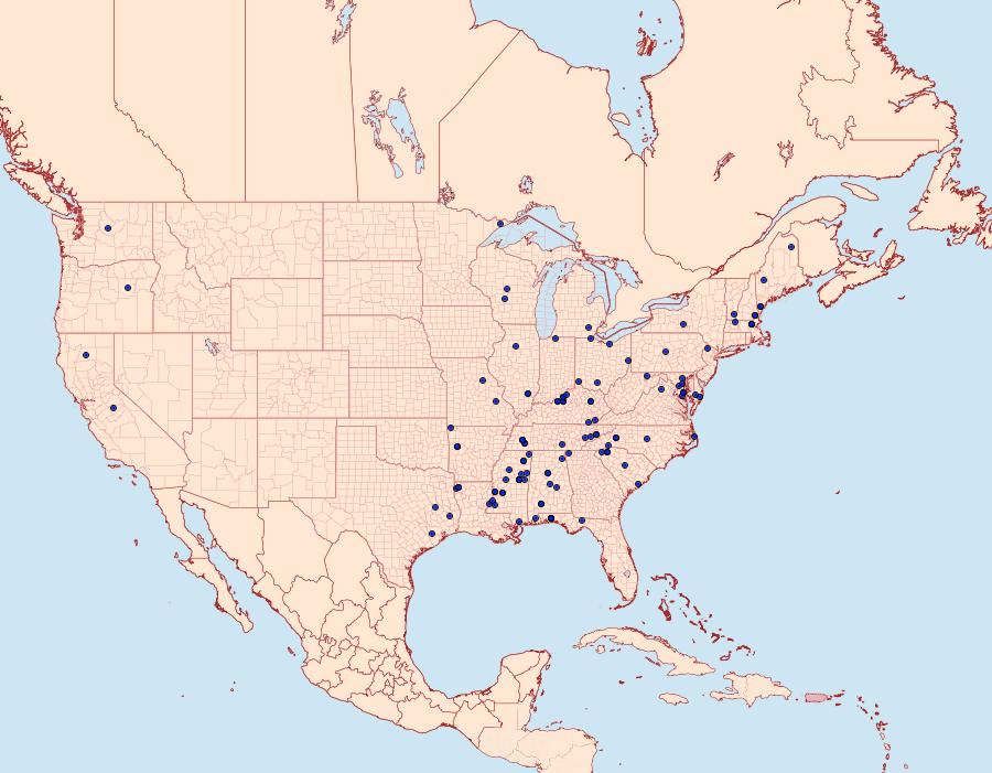 Distribution Data for Scardia anatomella