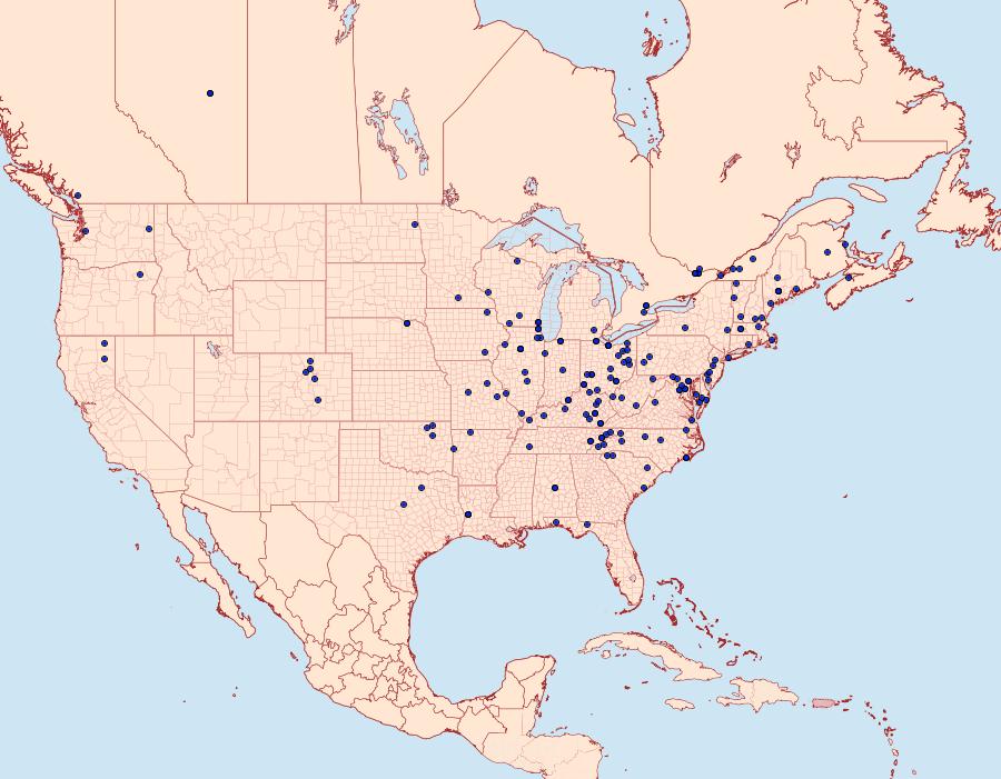 Distribution Data for Pelochrista dorsisignatana