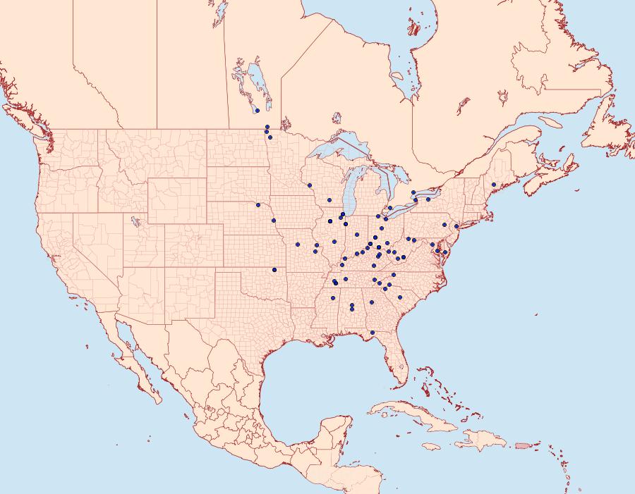 Distribution Data for Eucosma sombreana