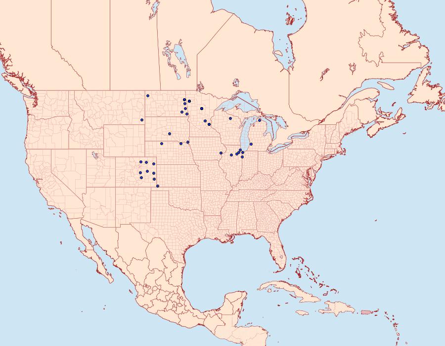 Distribution Data for Pelochrista costastriata