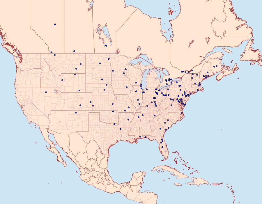 Distribution Data for Pelochrista cataclystiana