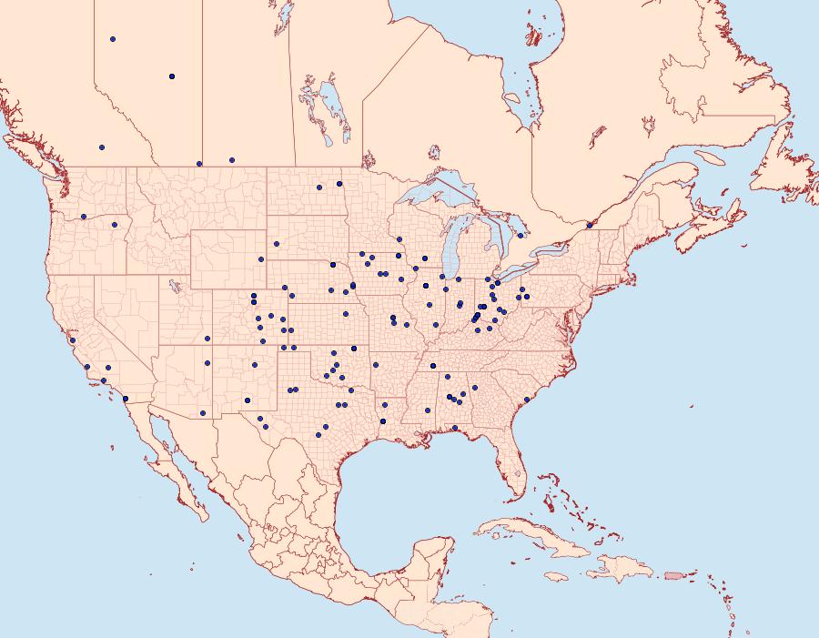 Distribution Data for Pelochrista scintillana