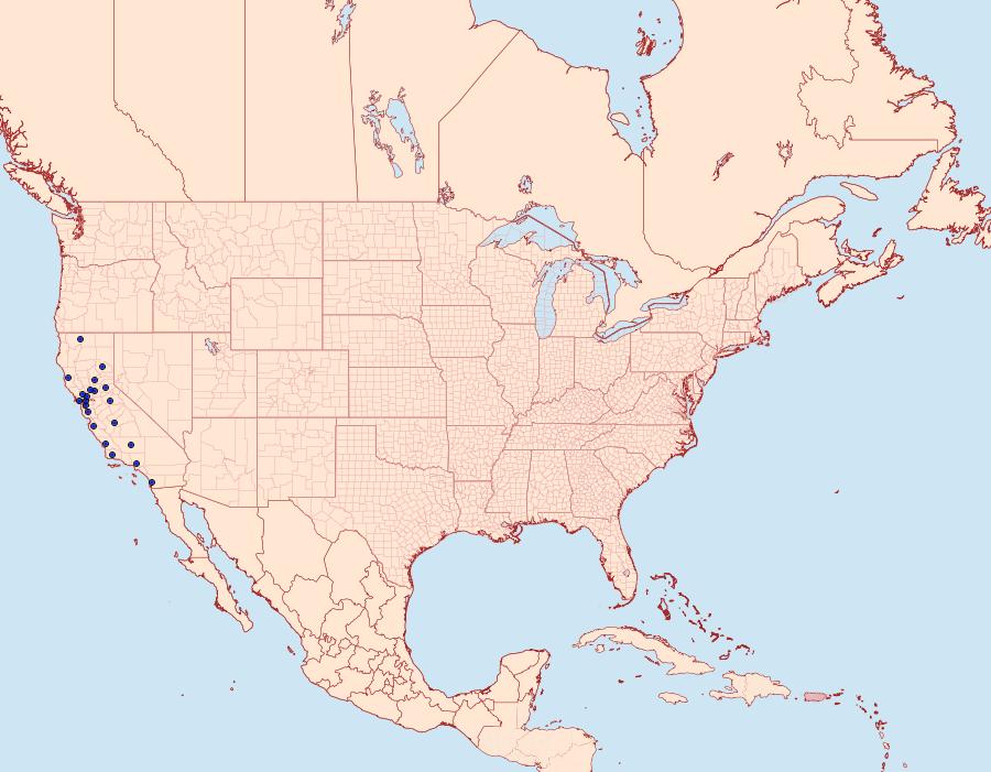 Distribution Data for Pelochrista passerana