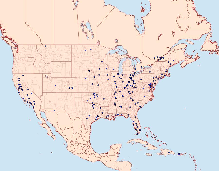 Distribution Data for Epiblema strenuana